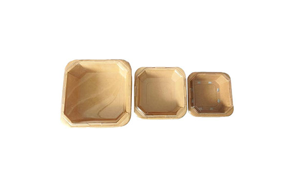 Lunch Box Packaging 2